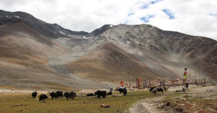 Der Kunzum-Pass, dekoriert mit Gebetsfahnen und einer Yak-Herde. Foto: S. Dey
