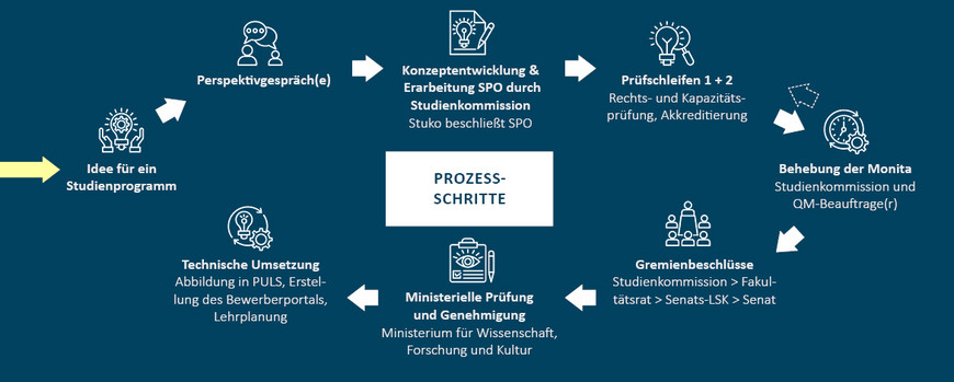 einzelne Schritte bei der Einrichtung eines neuen Studiengangs