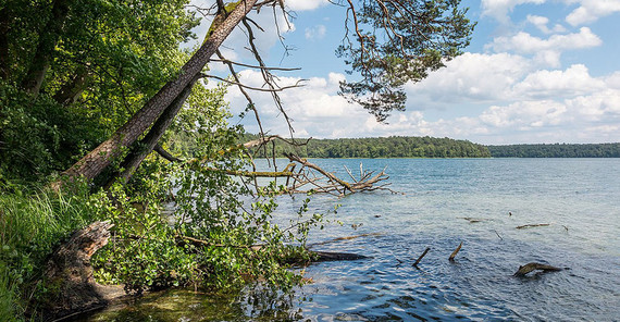 Der Große Stechlinsee im Norden Brandenburgs