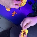 tasteMINT Abschluss