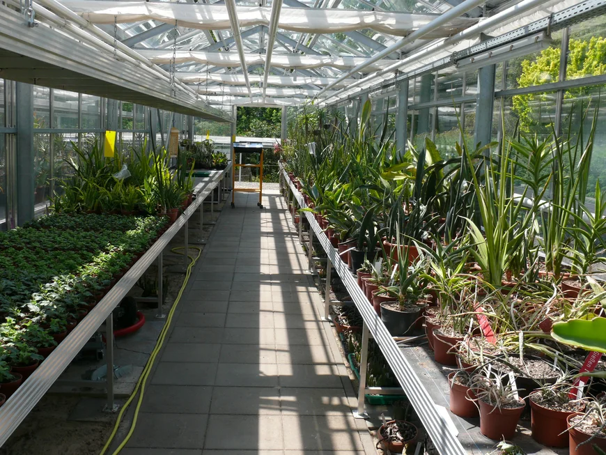 Blick in die Sammlung des Botanischen Gartens.
