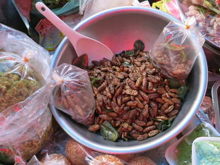 Edible insects at a market in Asia