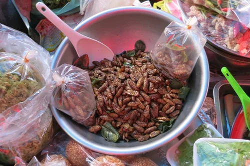 Edible insects at a market in Asia