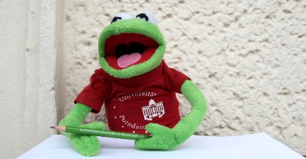 Kermit der Frosch am Schreibtisch