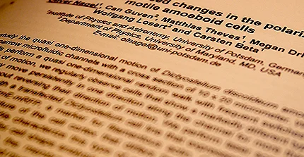 conference papers
