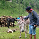 Ein Student streichelt einen Esel. Foto: Schröder