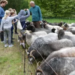 Anfassen erlaubt | Foto: J. Potratz