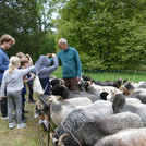 Anfassen erlaubt | Foto: J. Potratz