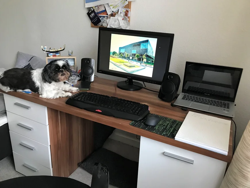 Auf einem Schreibtisch neben einer Tastatur kockt ein kleiner schwarz weißer Hund. Auf einem Bildschirm ist die Unibibliothek zu sehen