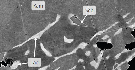 Analyse des Meteoriten mit dem Rasterelektronenmiksorpo: Die Hauptminerale des Meteorites: Taenit γ-(FeNi), Schreibersit (Fe,Ni,Cr)3P, Kamacit (α-(FeNi). Schreibersit ist das Mineral mit den höchsten Goldgehalten im Meteoriten. | Quelle: Uwe Altenberger, Universität Potsdam