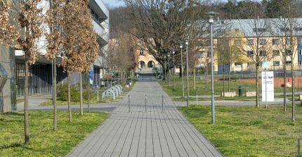 Paved path across the campus, houses on the left and in the background