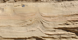 Lake sediments in the Boam Gorge with soft sediment deformation. (Photo: Dr. Angela Landgraf)