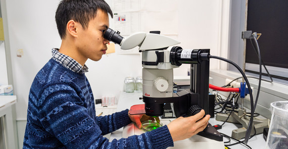 PhD student Van-Cuong Pham in the lab | Photo: Kevin Ryl