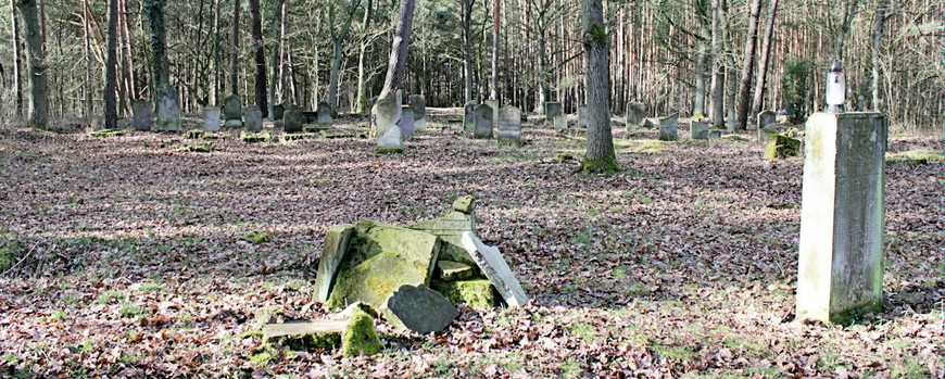 Friedhof Bledzew Blick nach Nordwest