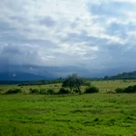 Saftig grüne Landschaft bei San Miguel de Tucuman