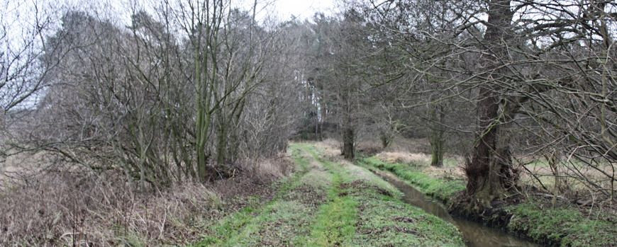 Zugang zum Jüdischen Friedhof in Kargowa