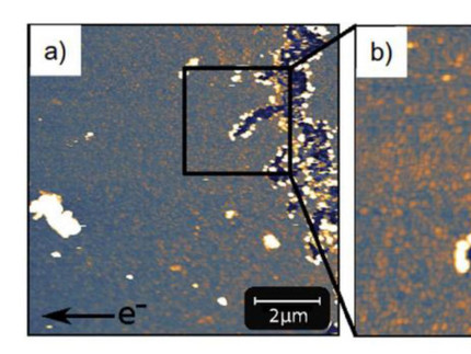 SFM image of the area affected by electromigration (a) Overview of the anode side (b) Area, represented by a black square in (a)