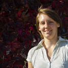 Prof. Dr. Eva Eibl