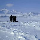 Joint effort to drill a sea-ice sample.