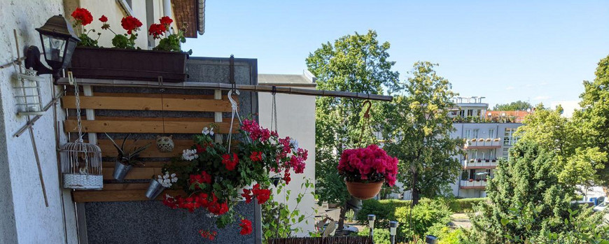 Ein Balkon mit Tisch und Stuhl. Laptop und Büchern. Blick ins Grüne