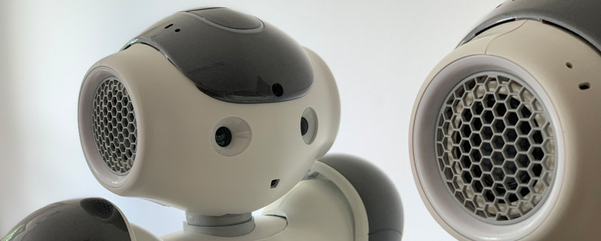 Zwei NAO Roboter