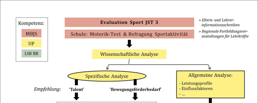 Fig. 1: Illustration of of the annual project processes and competency areas of the project partners. MBJS = Ministry of Education, Youth, and Sports of the State of Brandenburg; UP = University of Potsdam, Chair of Training and Exercise Science; LSB BB = Landessportbund Brandenburg; JST = Grade level.
