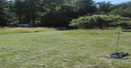 grass is changed