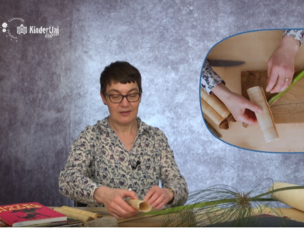 Dr. Ute Tischer präsentiert gerade eine aufgeschnittene, grüne Papyruspflanze, aus der Papyrusrollen hergestellt werden konnten. Vor ihr liegen Pergamenrollen, Bücher und Papyrusrollen.