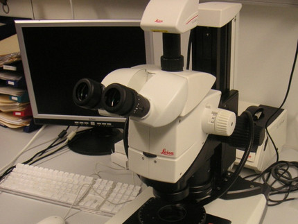 Binocular microscope