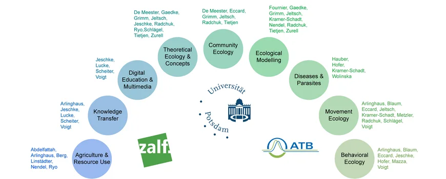 The picture shows an overview of disciplines, people and institutions involved 
