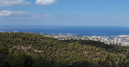 Haifa Panorama