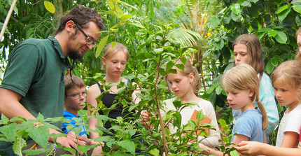 Angestellter der Uni Potsdam erklärt Schüler:innen eine Pflanze