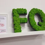 FQ Lounge @ HPI