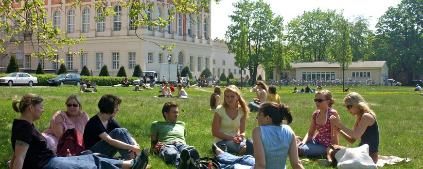 Studierende auf der Wiese am Neuen Palais