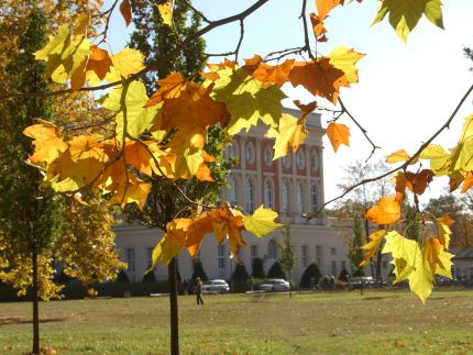 Herbst am Neuen Palais