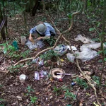 Studienprojekt auf Barro Colorado Island in Panama: Bestimmung der Lagerungsdichte tropischer Regenwaldböden.