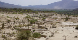 The Olorgesailie Basin in the Kenya Rift Valley, part of the Eastern Branch of the East African Rift System.  In the background the high topography of the Rift’s border faults. | Photo: Corinna Kalich, University of Potsdam