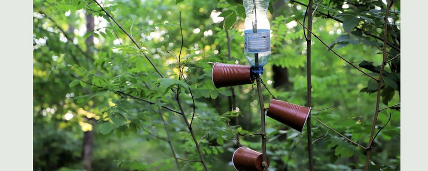 Wegweiser zum Jüdischen Friedhof Lipiany