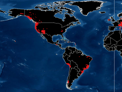 Global distribution of landslides. Graphic by Joaquin Ferrer