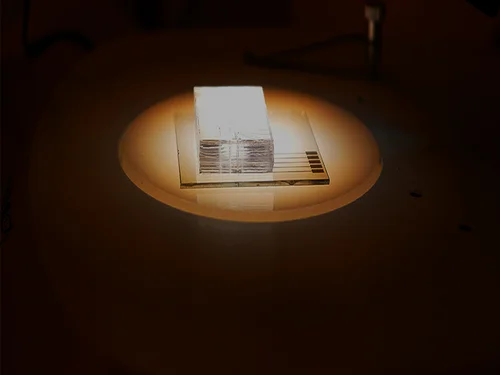 microfluidic chip