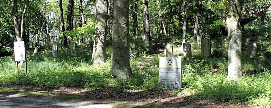 Sicht auf den Jüdischen Friedhof in Trzciel von der Straße