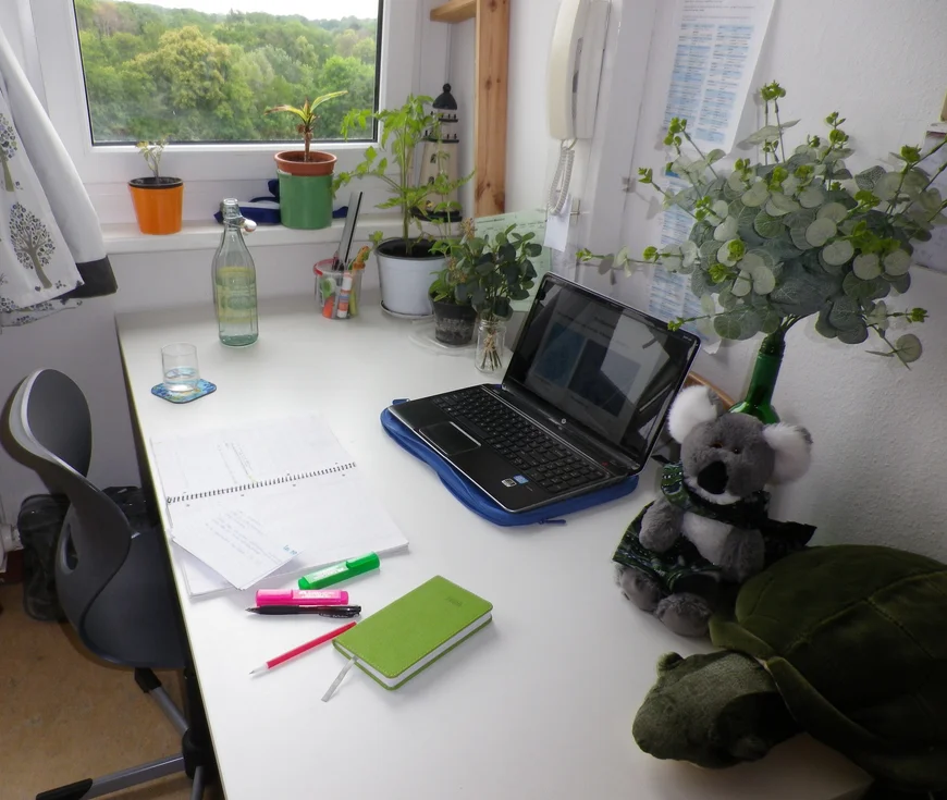 Shreibtisch mit Laptop und SChreibtisch neben Fenster. Man sieht auf Baumkronen. AUßerdem Pflanzzen und ein Pflüchkoala uaf dem Tisch