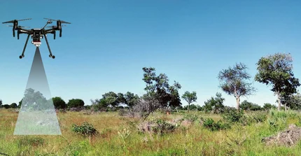 Schematic representation of a drone flying over a rangeland