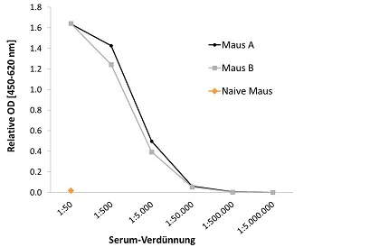 Serumverdünnungstest VP1 spezifischer Antikörper
