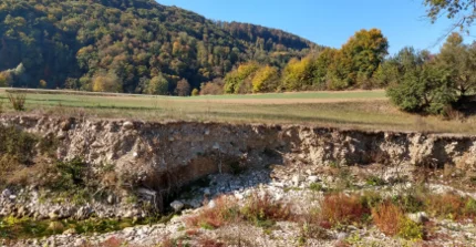 Geophysical investigations of debris flows