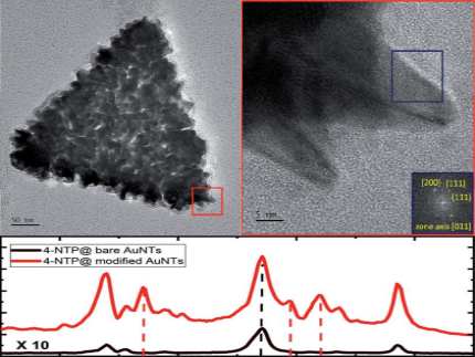 SEM images of spiked Gold nanotriangles and associated SERS spectra