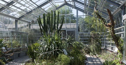 Image: House in the Botanical Gardens