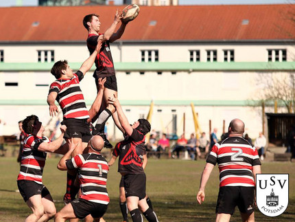 Mehrere Männer in gestreiften Shirts spielen Rugby