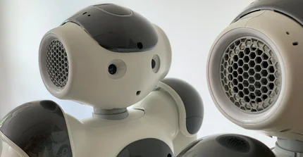 Zwei NAO Roboter