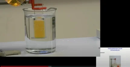 Ausschnitt aus Video Vortrag "Zwischen Brötchen und Borussia" Thema: Minerale unter Hochdruck